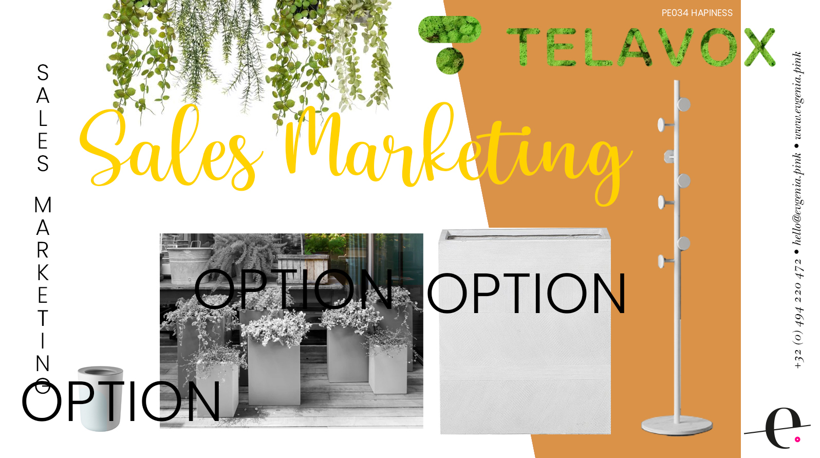 03 -Sales Marketing OPTION